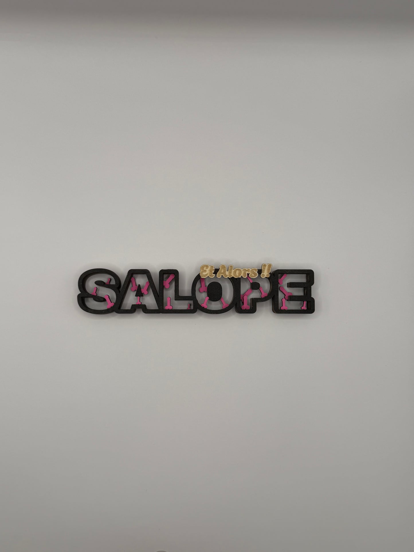 Décoration Humoristique «SALOPE – Et Alors !!»