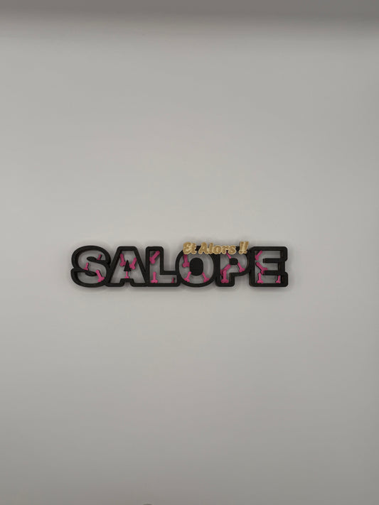 Décoration Humoristique «SALOPE – Et Alors !!»
