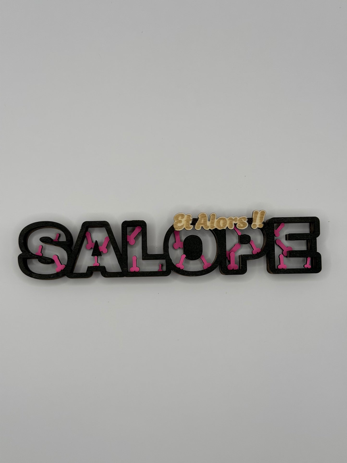 Décoration Humoristique «SALOPE – Et Alors !!»